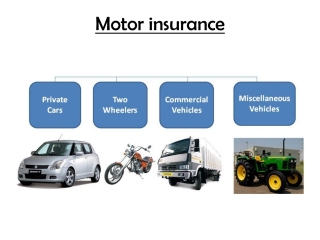  For All Type Of Insurance Services, Feel Free to Call 