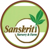 Plant Nurseries - Profile - Sanskriti Nursery & Farm Plant Nurseries - Profile -Sanskriti Nursery & Farm